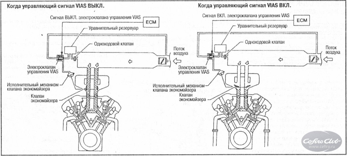 35309f226ed58e283e48a31d6d978b97.jpg